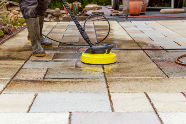 Animal Enclosure Cleaning in Port Hueneme, CA
