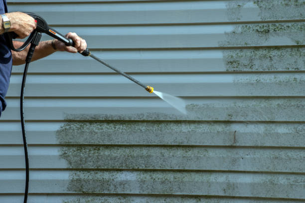 Best Driveway Pressure Washing  in Port Hueneme, CA